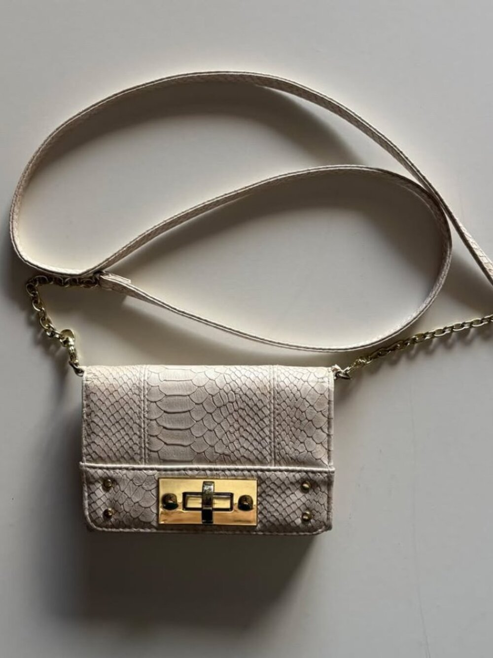 Small Clutch with Golden Hardware and Removable Strap - Snake Design